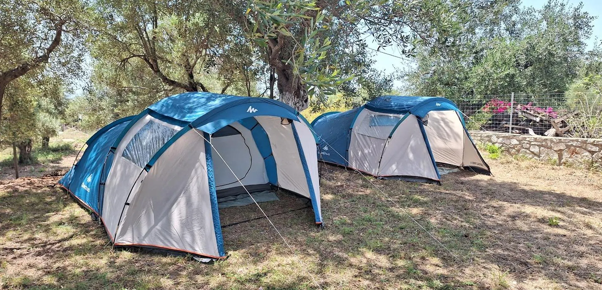 Olive Camping Himare Albanië