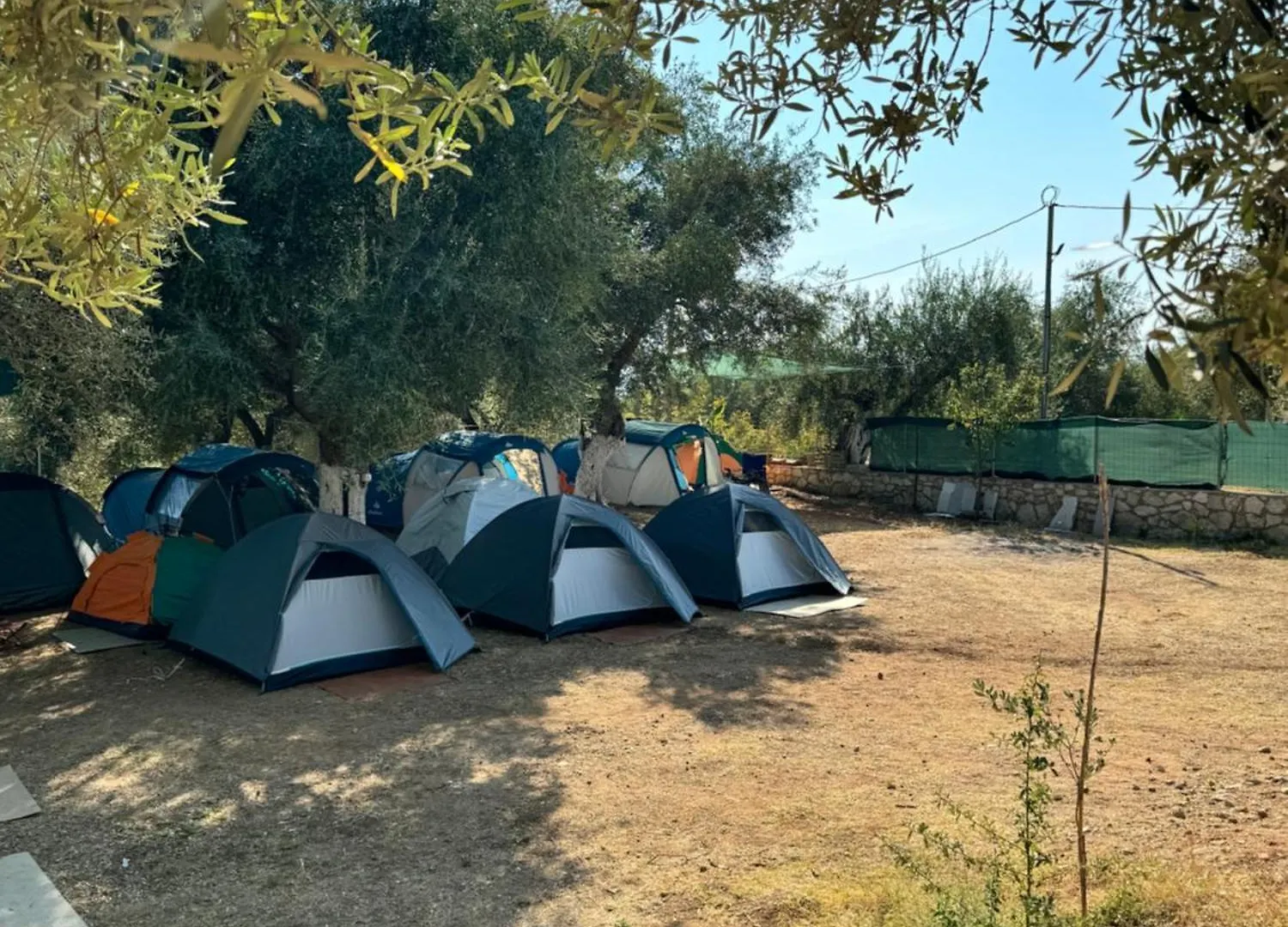 Olive Camping Himare 0*,  Albanië