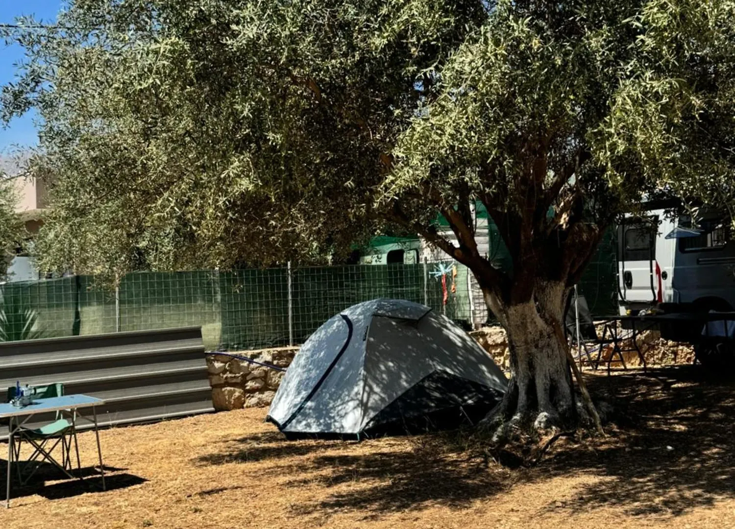 Olive Camping Himare